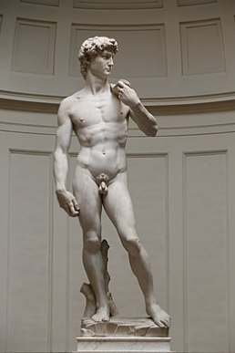 260px-'David'_by_Michelangelo_Fir_JBU005